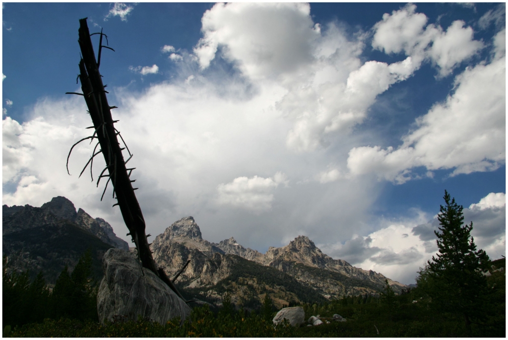 01 - Grand teton NP (09).jpg